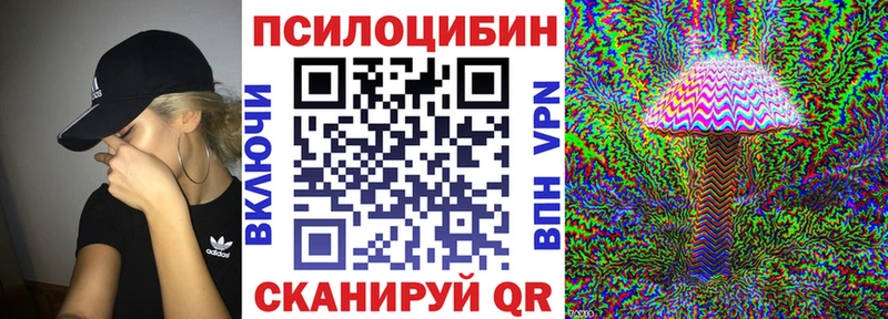 закладка  Алейск  shop телеграм  Галлюциногенные грибы Cubensis 